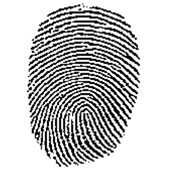 Kỹ thuật mới phát hiện dấu vân tay trên giấy ướt