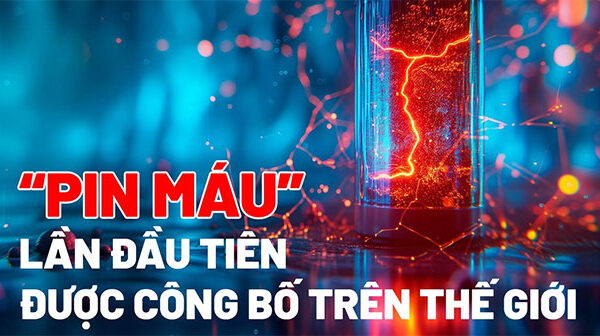 "Pin máu" lần đầu tiên được công bố trên thế giới