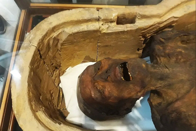 Bột từ xác ướp từng được sử dụng để chữa rất nhiều bệnh, gồm cả bệnh ung thư.