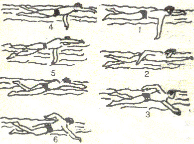 Bạn tập bơi thật nhiều lần cho tới khi bơi được nhanh, dứt khoát.