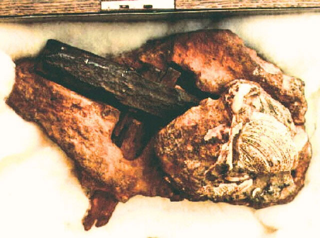 Tảng đá này được cho là thuộc kỷ Creta, có niên đại khoảng 115 triệu năm