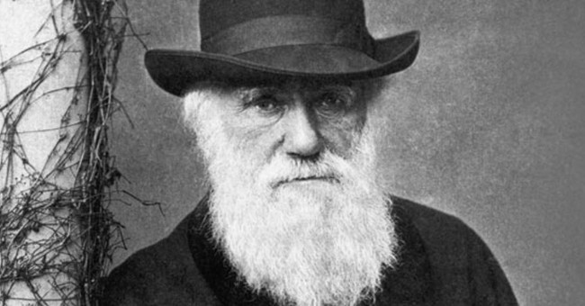 9 lý do chứng minh thuyết tiến hóa của Darwin là sai lầm