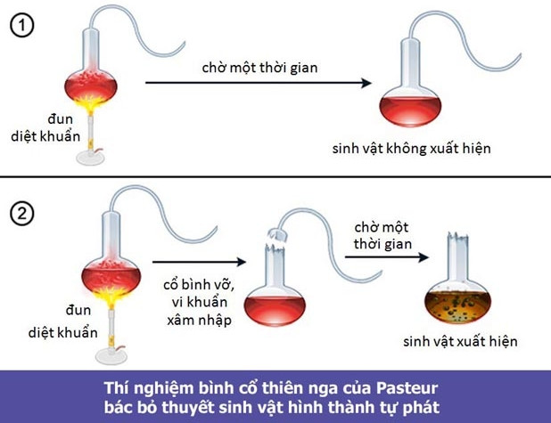 Thí nghiệm bình cổ thiên nga của Louis Pasteur