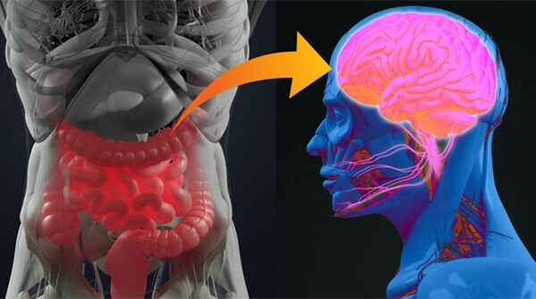Top 8 bộ phận cơ thể ẩn giấu nhiều điều thú vị mà đến chính bản thân bạn cũng không hề biết