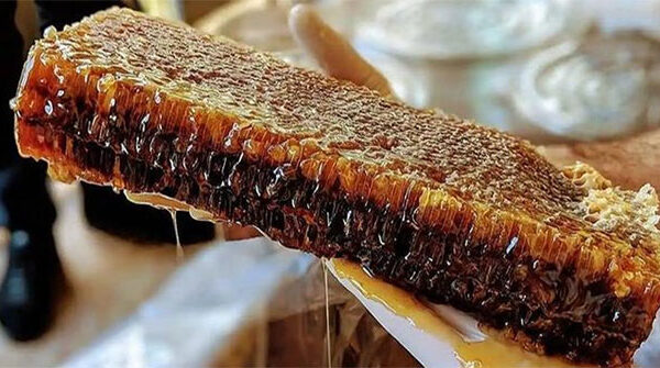 Loại mật ong đắt nhất thế giới, được mệnh danh là "mật ong của các vị thần"