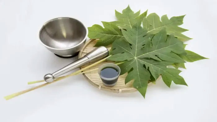 nuoc-la-du-du Nước lá đu đủ