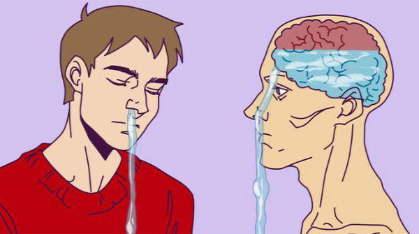 Những sự thật thú vị về cơ thể con người