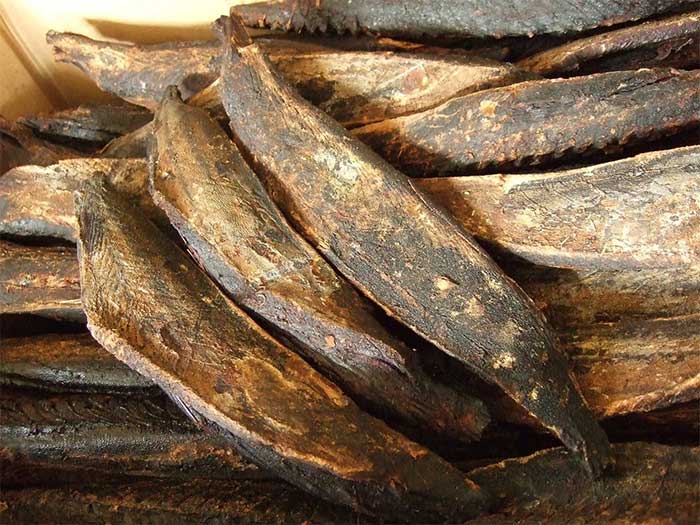 Katsuobushi có thể khiến nhiều người lầm tưởng là khúc gỗ.