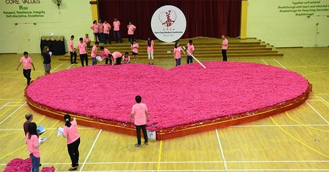 14 kỉ lục thú vị về ngày Valentine