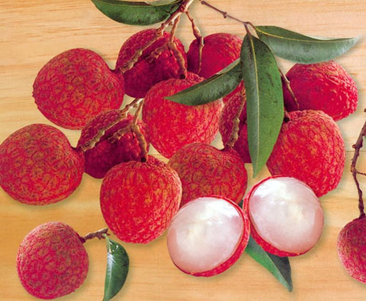 Vải giàu các chất thân thiện với làn da như thiamin, niacin và đồng.