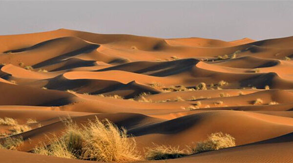 Dùng radar đo độ sâu sa mạc Sahara, các nhà khoa học phát hiện ra "thứ" khổng lồ bên dưới