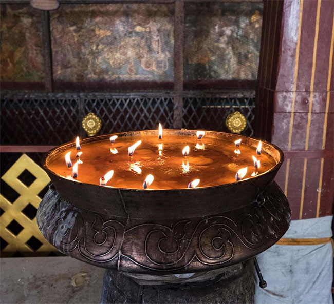 den-bo-sua Đèn bơ sữa