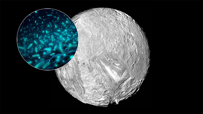 mat-trang-miranda Dữ liệu tàu NASA cho thấy Miranda có thể ẩn chứa một đại dương ngầm có sự sống