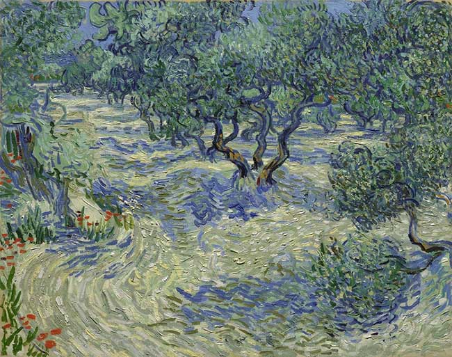 Bức tranh "Những cây ô liu" nổi tiếng của họa sĩ Vincent van Gogh.