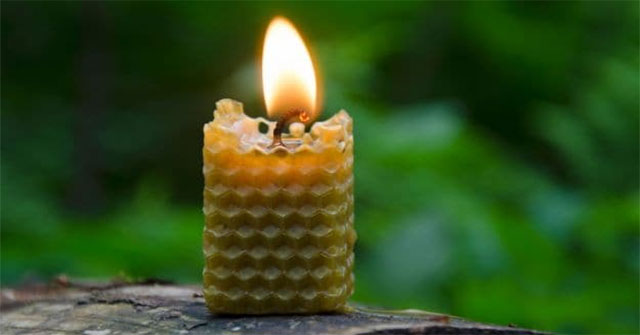 9 cách tự nhiên để làm sạch không khí tại nhà