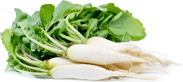 cu-cai-1 Củ cải