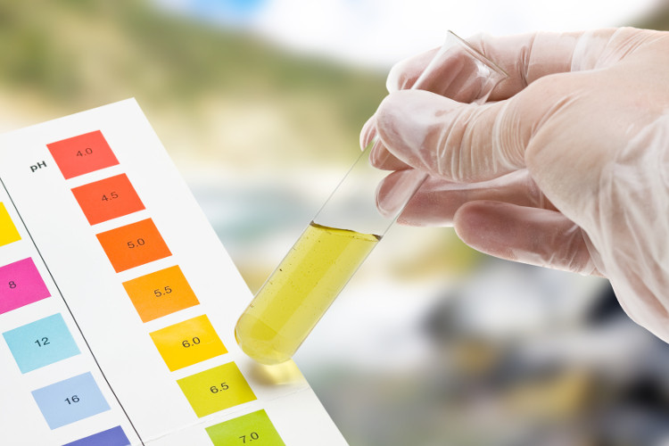 Chỉ số pH đánh giá độ acid của nước tiểu.
